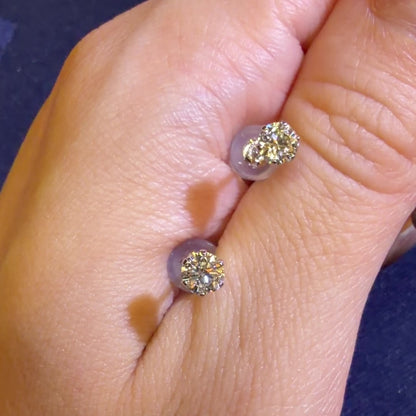 TACHIBANA｜PT950 鉑金 0.50ct 光環圍鑲天然鑽石耳環｜Halo Diamond Stud Earrings
